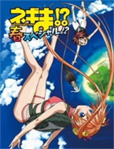 娇娇县令入君怀