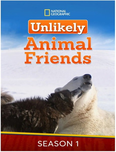 少年梦家庭和睦