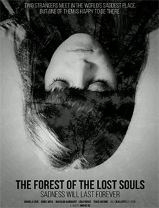 消失的花季少女