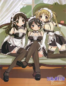 天才黄金脑神之谜第3季