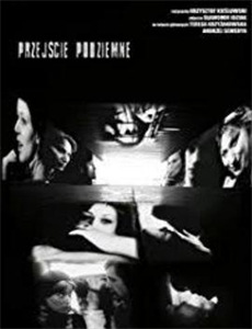 黄金搭档:千金杀手