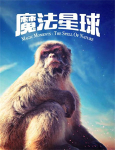 深色调的爱丽丝